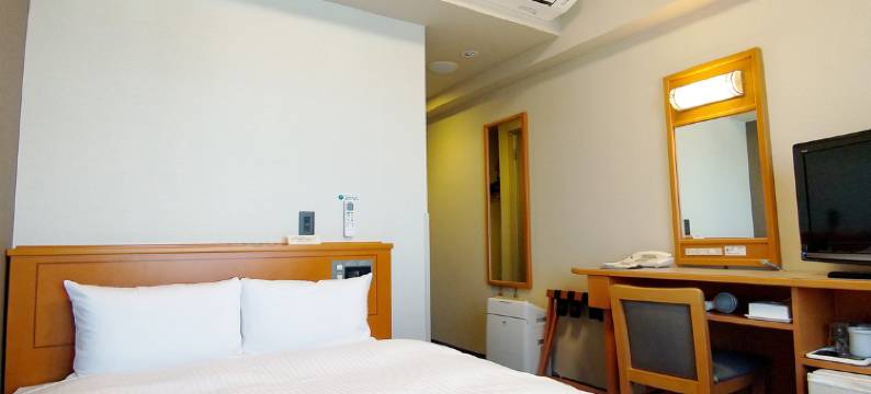 露樱酒店新泻县厅南店(Hotel Route-Inn Niigata Kencho-Minami)图片
