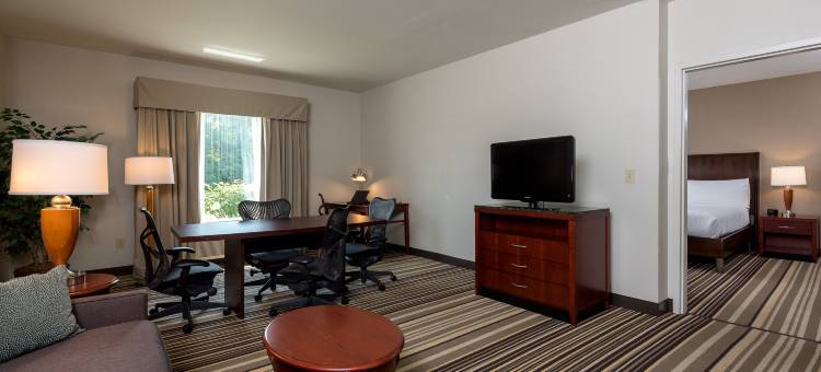 费城福特华盛顿希尔顿花园酒店(Hilton Garden Inn Philadelphia/Ft. Washington)图片