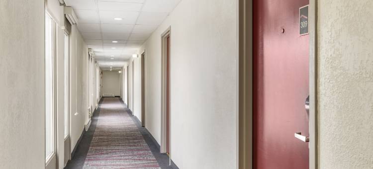 红屋顶酒店-斯特劳兹堡(Red Roof Inn Stroudsburg)图片