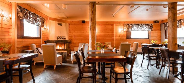阿卡斯特里拉普兰酒店(Lapland Hotels Äkäshotelli)图片