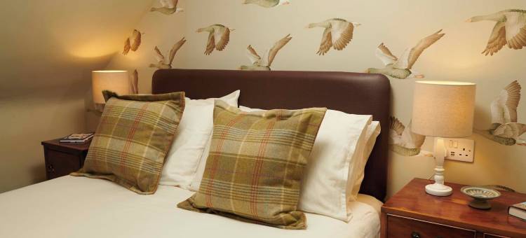 唐赖特加布勒(Downright Gabbler)图片