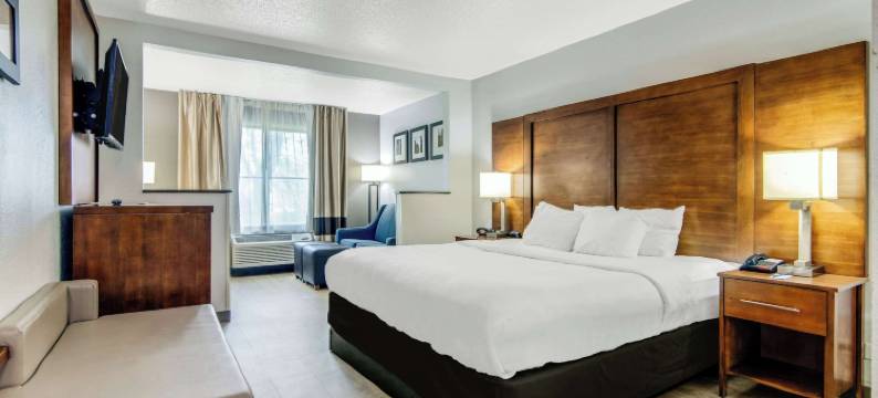 舒适套房酒店 - 近 I-80 及 I-94(Comfort Suites Near I-80 and I-94)图片