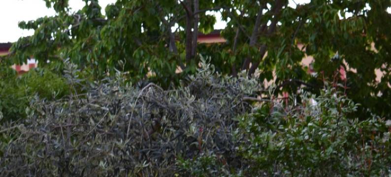 拉维奇雅塔韦尔纳家庭旅馆(La Vecchia Taverna B&B)图片