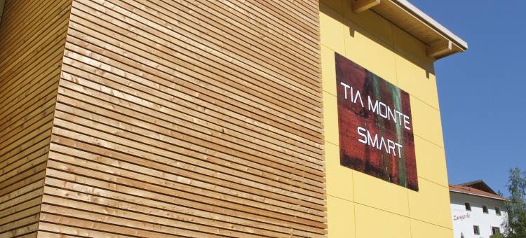 泰亚智能自然酒店(Hotel TIA Smart Natur)图片