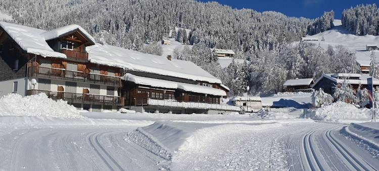 带花园的锡布拉茨盖尔画意工作室(Chalet in Sibratsgfäll Near Ski Slopes)图片