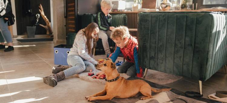 布里隆瓦尔德城堡酒店(Schlosshotel Brilon-Wald - Hostel)图片