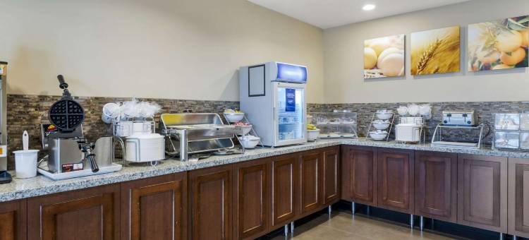 舒适全套房酒店及会议中心(Comfort Suites and Conference Center)图片