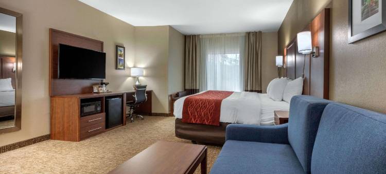 蒙哥马利东卡迈克尔路舒适套房酒店(Comfort Inn & Suites Montgomery East Carmichael Rd)图片