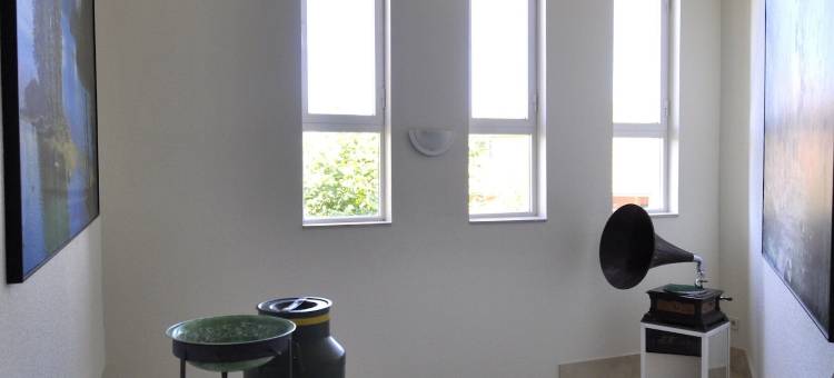 阿罗索蒂略公寓式酒店(Hotel Apartamentos Aralso Sotillo)图片