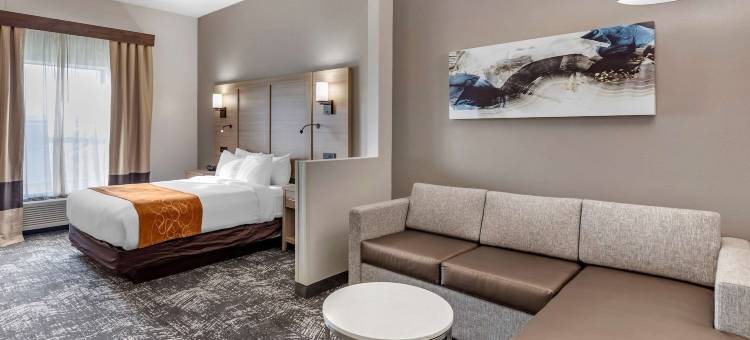 安德森舒适全套房酒店(Comfort Suites Anderson-Clemson)图片