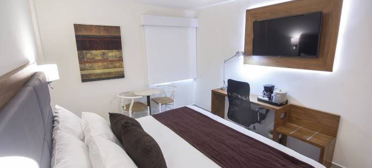 梅尼达艾塔布里萨密森快捷酒店(Mision Express Merida Altabrisa)图片