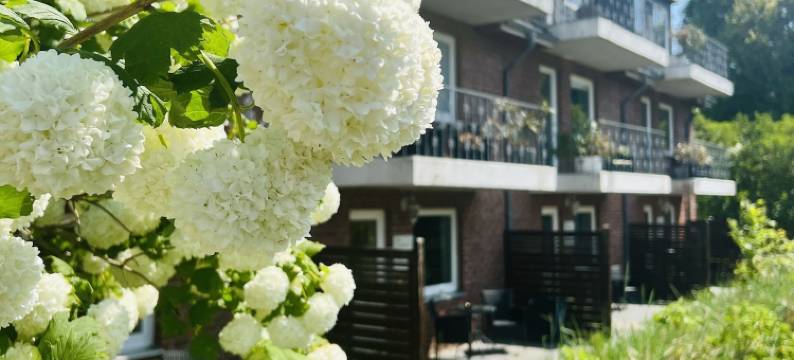 斯特恩之家酒店(Haus Stern)图片