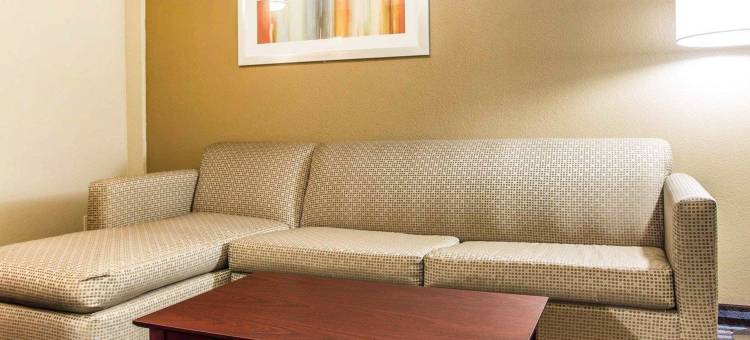 棒球场区舒适套房酒店(Comfort Inn & Suites Ballpark Area)图片