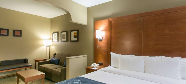 奥斯汀西北湖岸线舒适套房酒店(Comfort Suites Austin NW Lakeline)图片