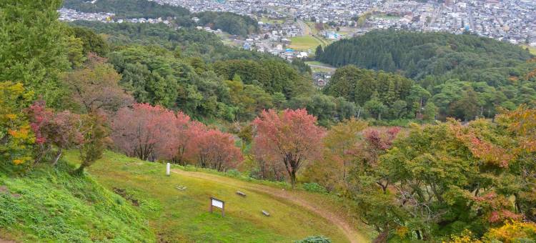 东横INN上越妙高站西口(Toyoko Inn Joetsu Myoko Eki Nishi Guchi)图片