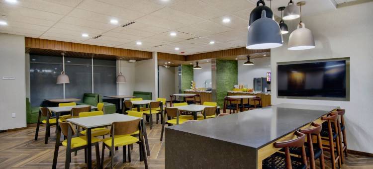 罗切斯特丘陵万枫酒店(Fairfield Inn & Suites Rochester Hills)图片