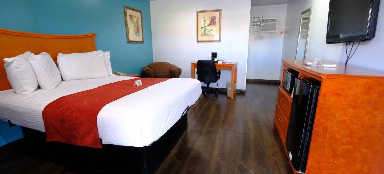 瑟希M星酒店(M Star Hotel Searcy)图片