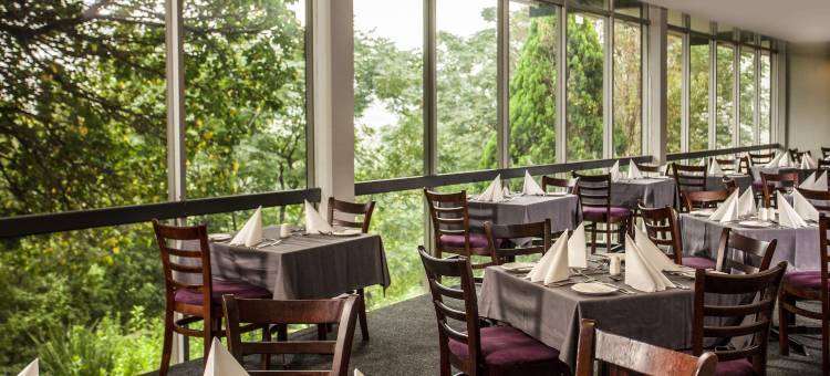 马塞卢阿瓦尼酒店(Avani Maseru Hotel)图片