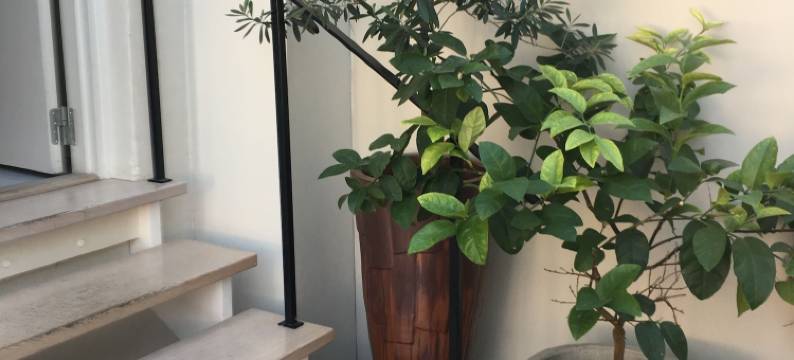 斯特凡森斯酒店(Stephansens Hotel)图片