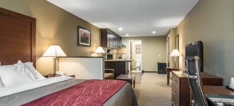 索格蒂斯舒适酒店(Comfort Inn)图片