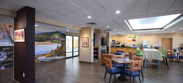 布恩 - 大学区凯艺套房酒店(Quality Inn & Suites Boone - University Area)图片