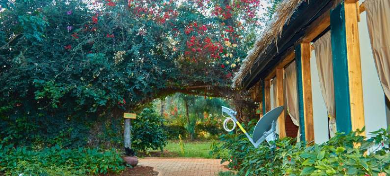 NJIA PANDA帐篷旅馆和露营地(Njia Panda Tented Lodge and Campsite)图片