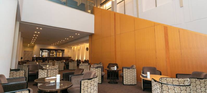 阿尔扎泉大津市埃尔斯特湖酒店(Hotel Lake Alster Alza Izumiotsu)图片