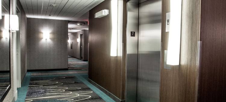 圣约翰斯纽芬兰万豪万怡酒店(Courtyard St. John's Newfoundland)图片