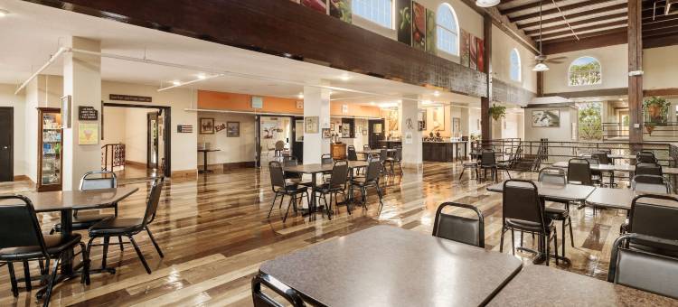 珍珠在孔乔(Pearl on the Concho)图片