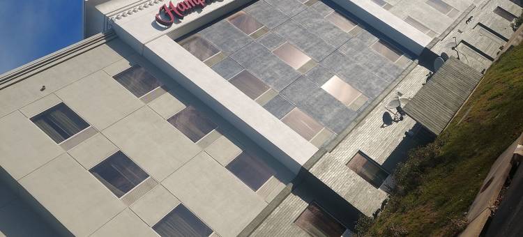 盖恩斯维尔欢朋套房酒店(Hampton Inn & Suites Gainesville)图片