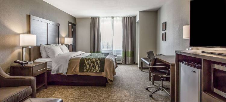 舒适套房酒店(Comfort Inn & Suites Snyder)图片