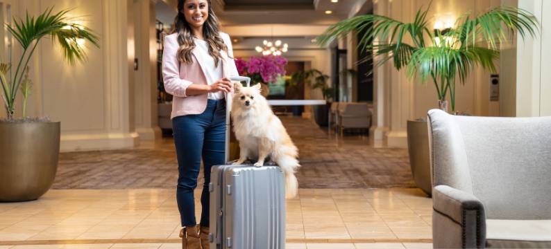 圣迭戈迷踪谷希尔顿逸林酒店(DoubleTree by Hilton San Diego-Mission Valley)图片