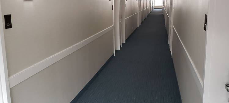 红鹿舒适套房酒店(Comfort Inn & Suites)图片