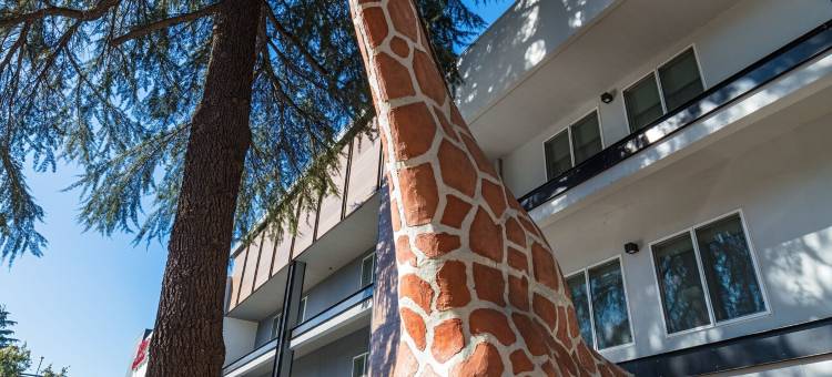 戴维斯希尔顿花园酒店(Hilton Garden Inn Davis Downtown)图片