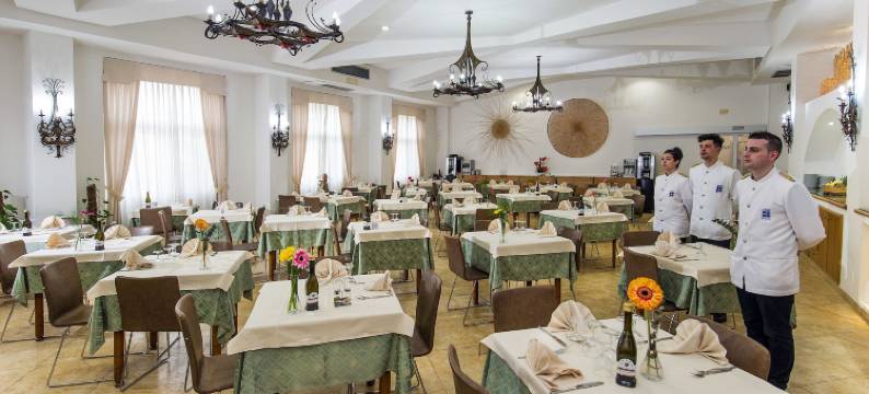 朱莉公园酒店(Joli Park Hotel - Caroli Hotels)图片