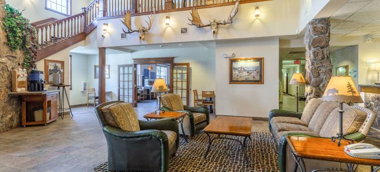 拉什莫尔山舒适套房酒店(Comfort Inn & Suites Mt Rushmore)图片