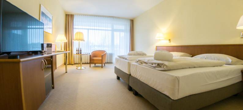 阿莱桑德斯巴德酒店(Hotel Alexandersbad)图片