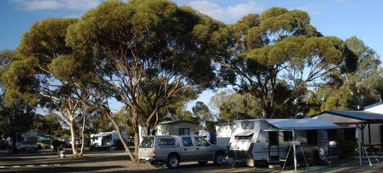 比格 4 埃克雷姆探索者假日公园酒店(Big4 Acclaim Prospector Holiday Park)图片