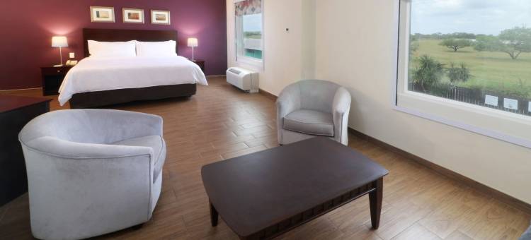 Holiday Inn 雷诺萨，工业PONIENTE(Holiday Inn Reynosa-Industrial Poniente)图片
