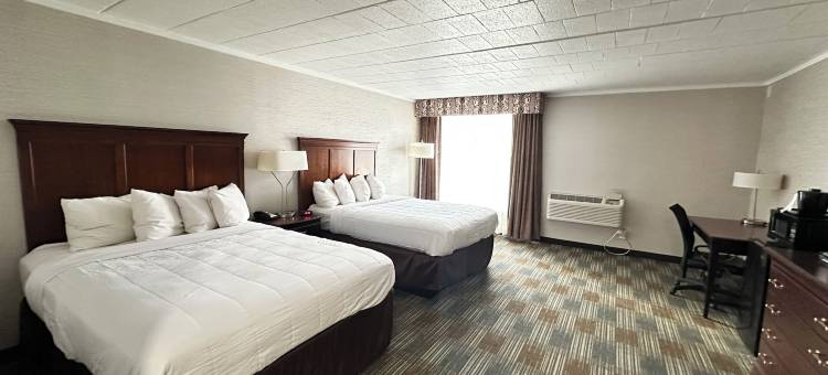 手指湖旅馆及套房(Finger Lakes Inn & Suites)图片