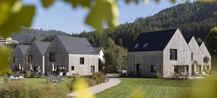 健康 & 享受度假村恩格尔(Wellness & Genuss Resort - Engel Obertal)图片