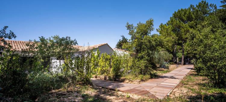 雷岛酒店(Hôtel Ile de Ré)图片