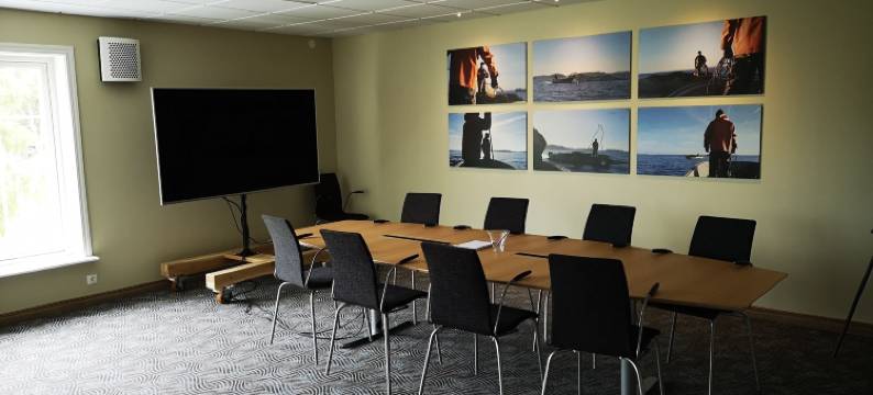 蒂罗姆斯酒店(Tiraholms Hotell)图片