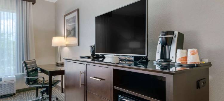 墨尔本棕榈湾温德姆拉昆塔套房酒店(Comfort Inn & Suites Melbourne-Viera)图片