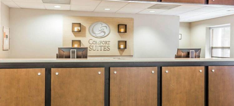 棕榈岛科耐特舒适套房酒店(Comfort Suites at Isle of Palms Connector)图片
