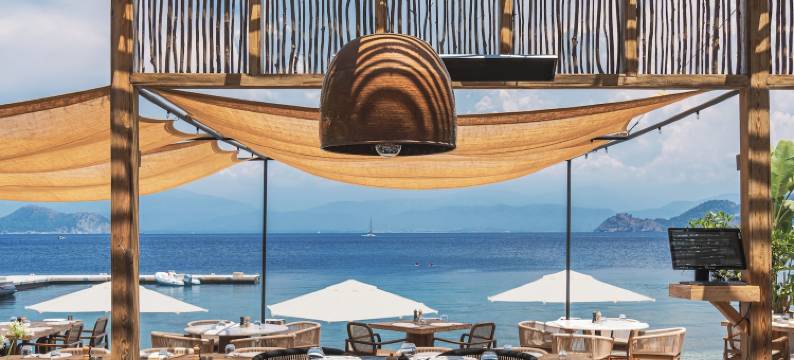 Yazz 集体(Yazz Collective)图片