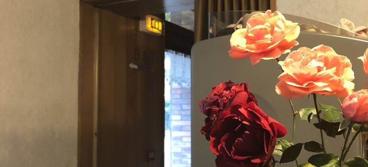 穿雪酒店(Hôtel le Perce Neige)图片