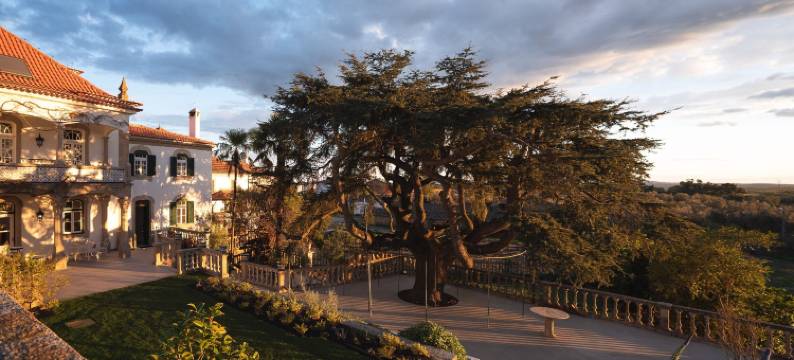 雪松之家(Casa do Cedro de Medelim)图片