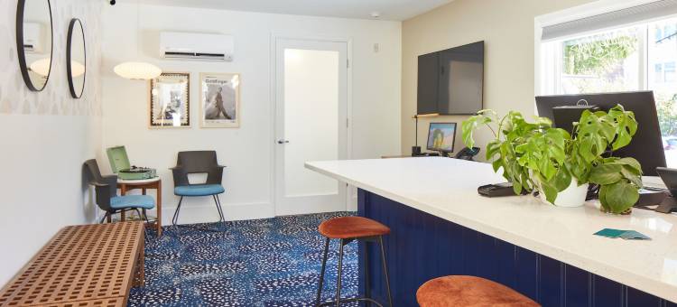 小摩德酒店在大学(Little Mod Hotel at the University)图片