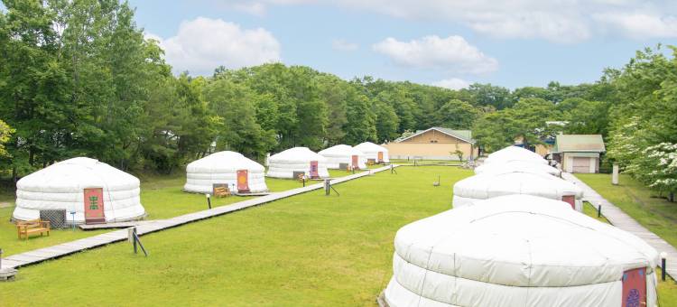 蒙古村腾格尔酒店(Mongolia Village Tenger)图片